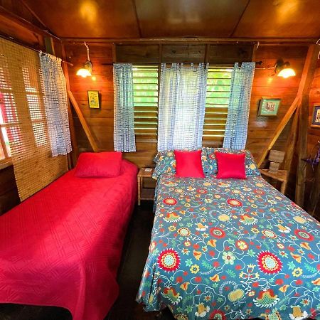 Judy House Cottages And Rooms Negril Pokój zdjęcie