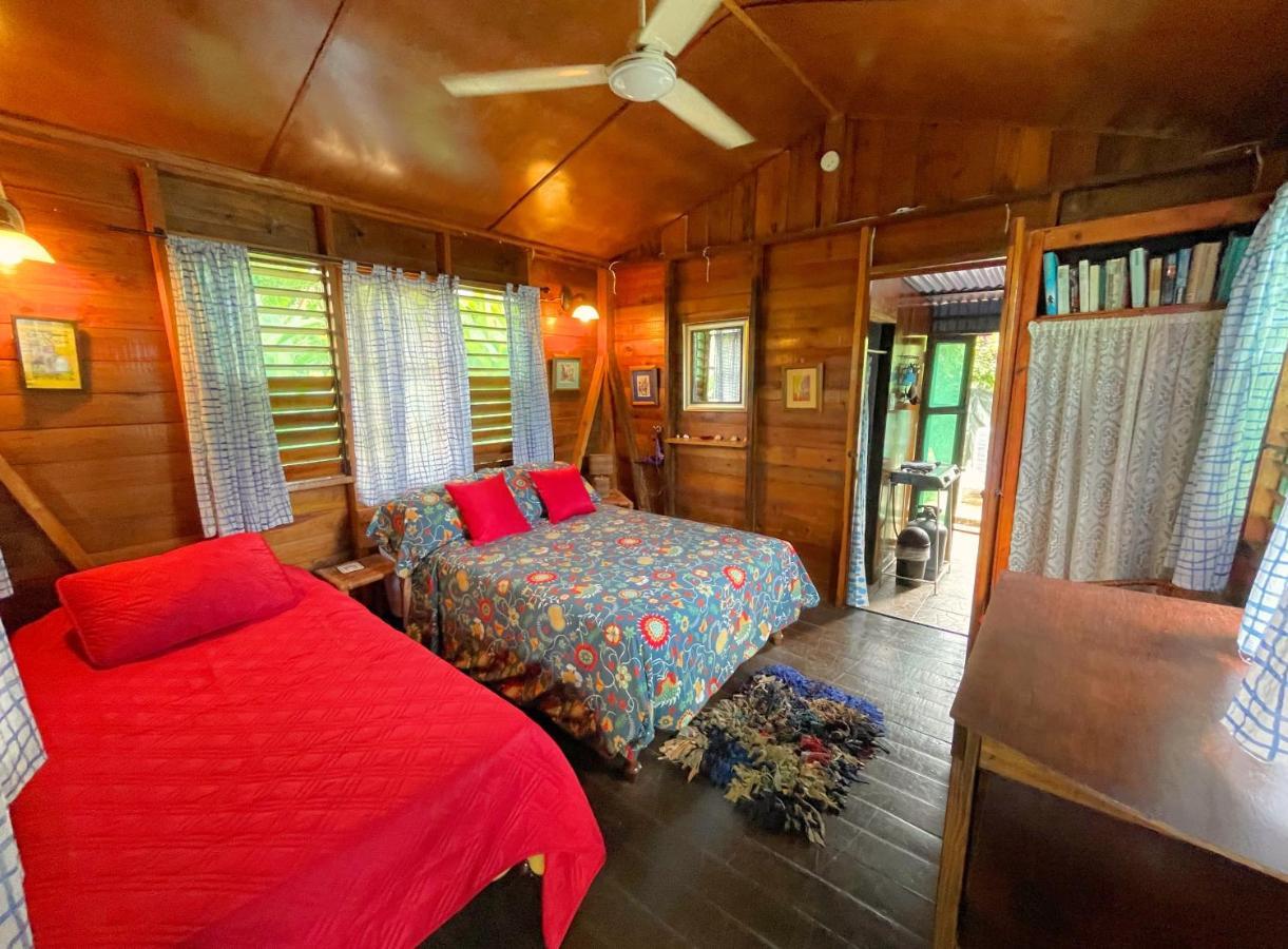 Judy House Cottages And Rooms Negril Zewnętrze zdjęcie
