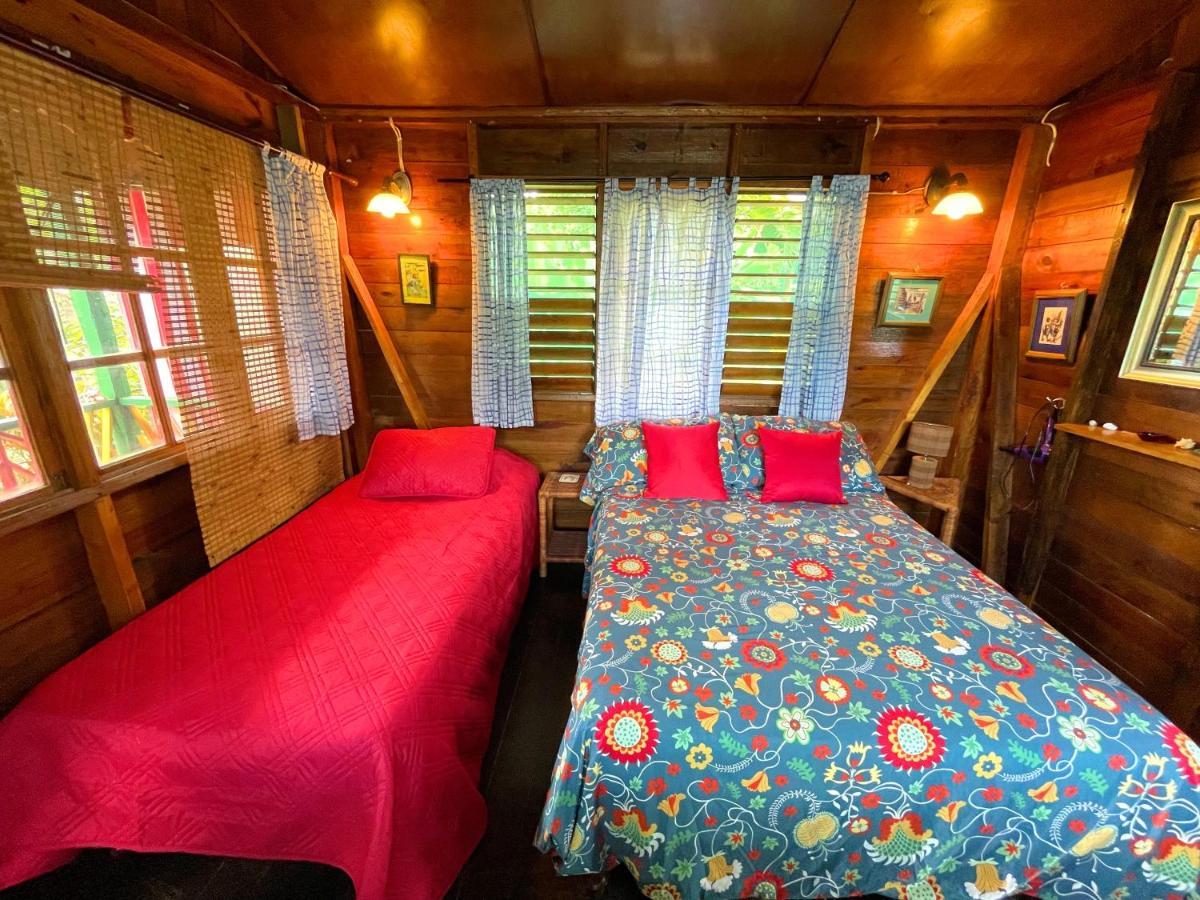 Judy House Cottages And Rooms Negril Pokój zdjęcie