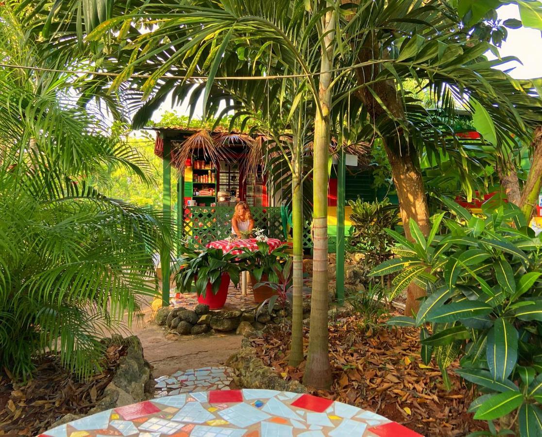 Judy House Cottages And Rooms Negril Zewnętrze zdjęcie