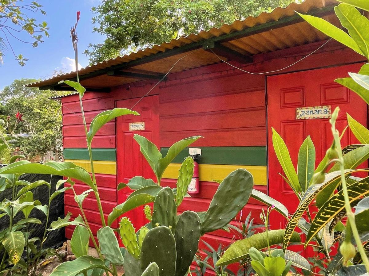 Judy House Cottages And Rooms Negril Zewnętrze zdjęcie
