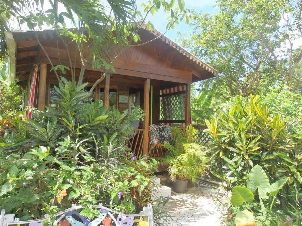 Judy House Cottages And Rooms Negril Zewnętrze zdjęcie